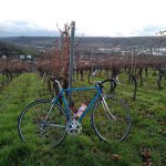 Rennrad vor Würzburg Kulisse