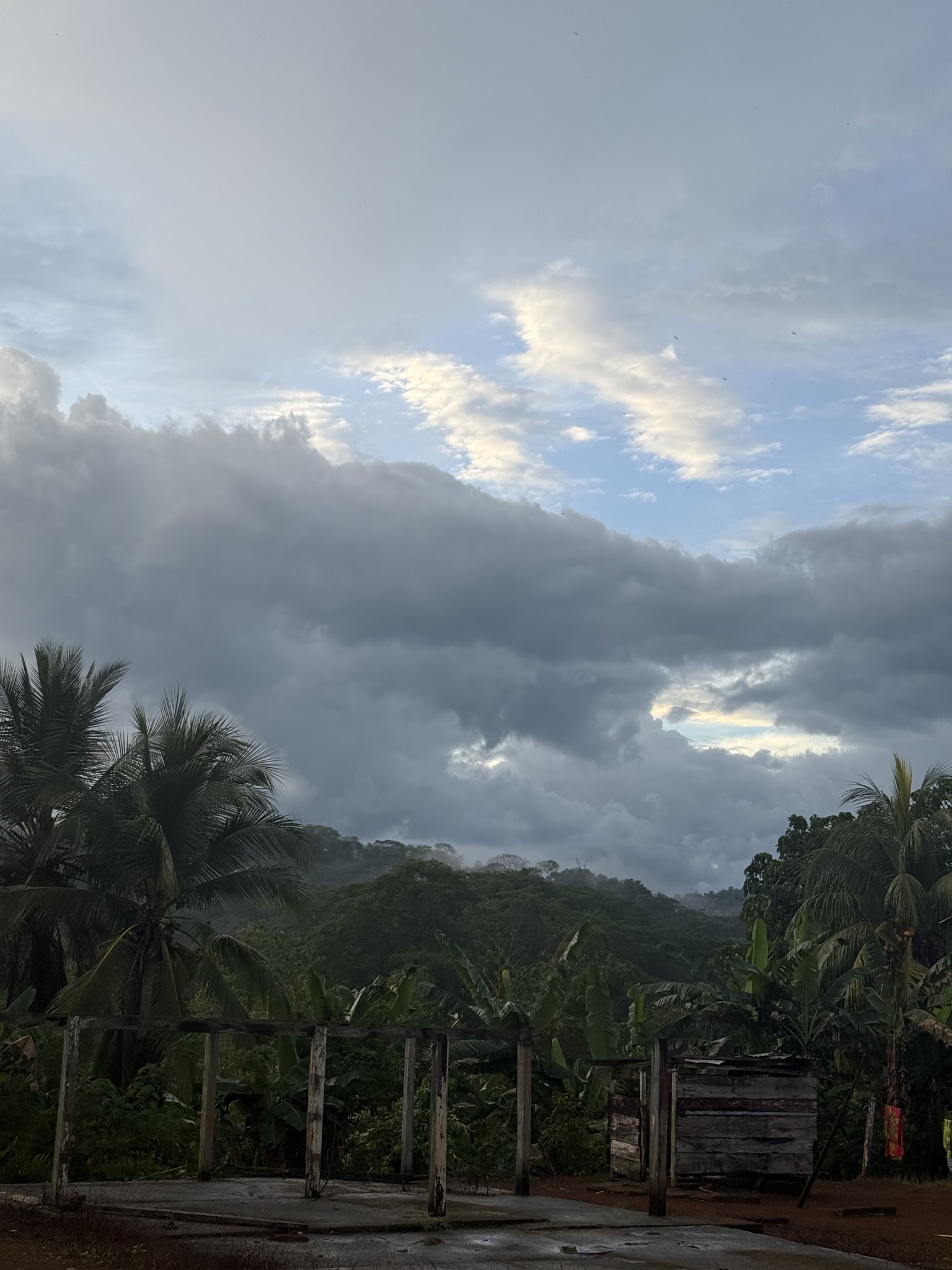 Wolkenstimmung über Palmen und einer einfachen Holzhütte im Darién-Camp, Panama.