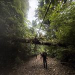 Zwei Wanderer mit großen Rucksäcken auf einem steinigen Pfad im Darién-Dschungel, umgestürzte Bäume und dichter Regenwald.