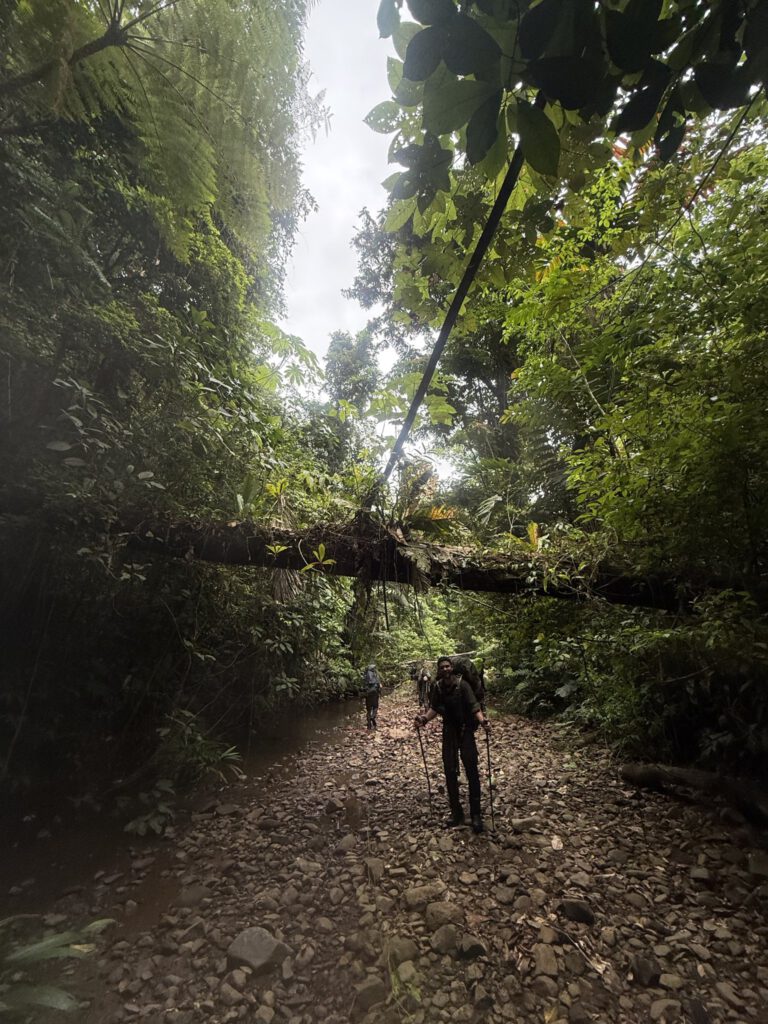 Zwei Wanderer mit großen Rucksäcken auf einem steinigen Pfad im Darién-Dschungel, umgestürzte Bäume und dichter Regenwald.