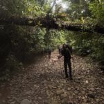 Zwei Wanderer mit großen Rucksäcken in einem steinigen Flussbett im Darién-Dschungel, darüber ein umgestürzter Baumstamm.